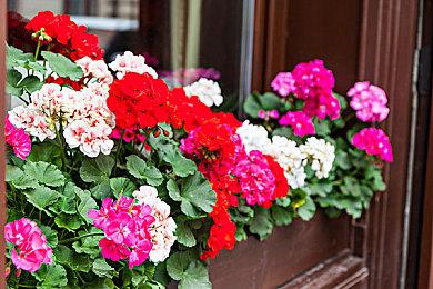 原生PS5版《我的世界》现已推出 支持4K 60帧